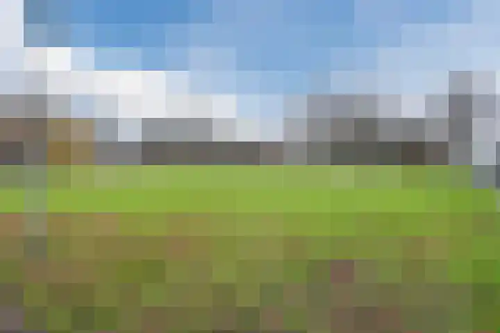 Schaarweide 52 Rotterdam thumbnail 34