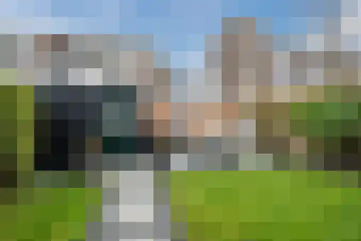 Schaarweide 52 Rotterdam thumbnail 5