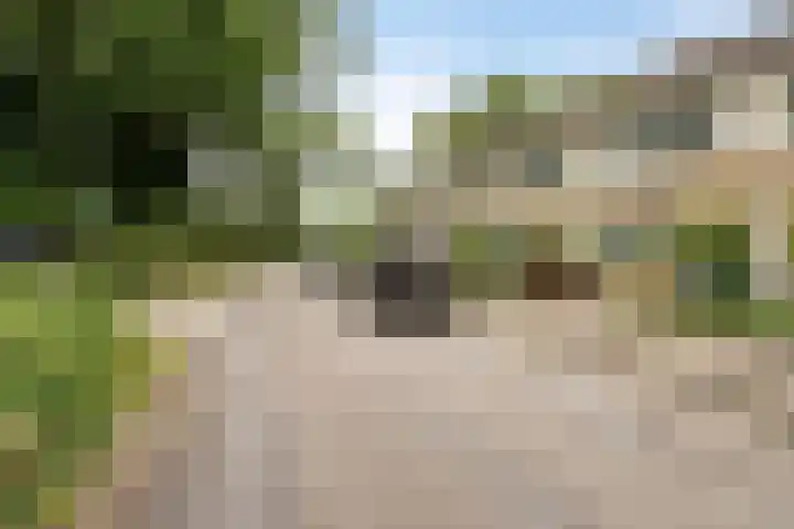 Schabbinklanden 65 Enschede thumbnail 33