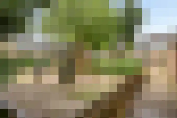 Schabbinklanden 65 Enschede thumbnail 38