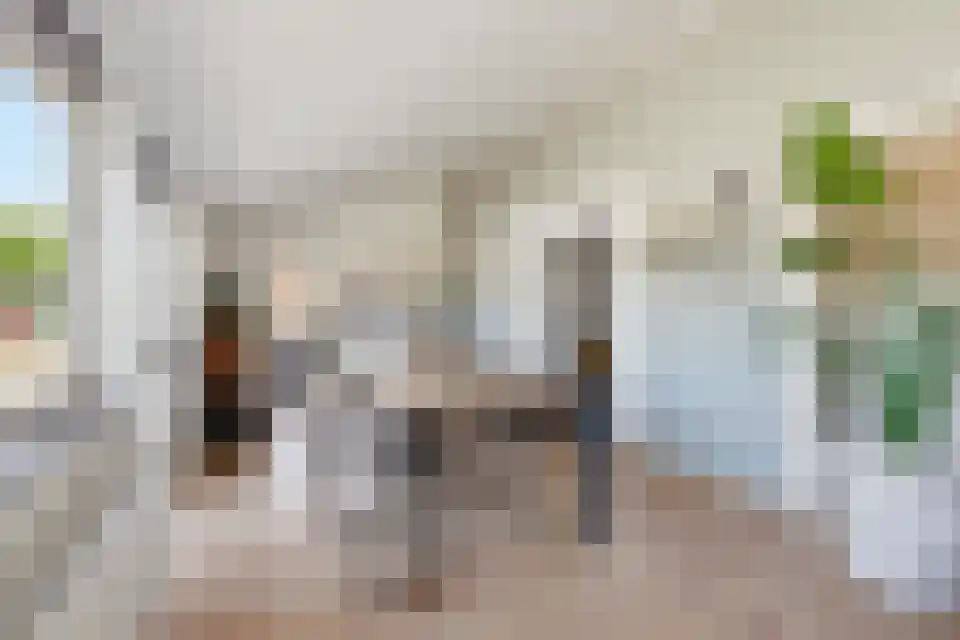 Schabertstraat 12 3590 Elshout thumbnail 14