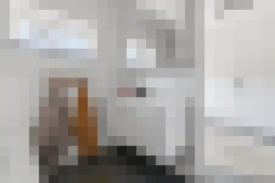 Schabertstraat 12 3590 Elshout thumbnail 19