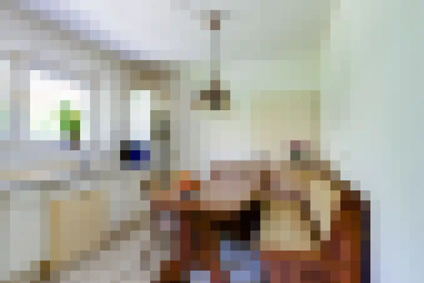 Schabosweg 29 Lattrop-Breklenkamp thumbnail 17