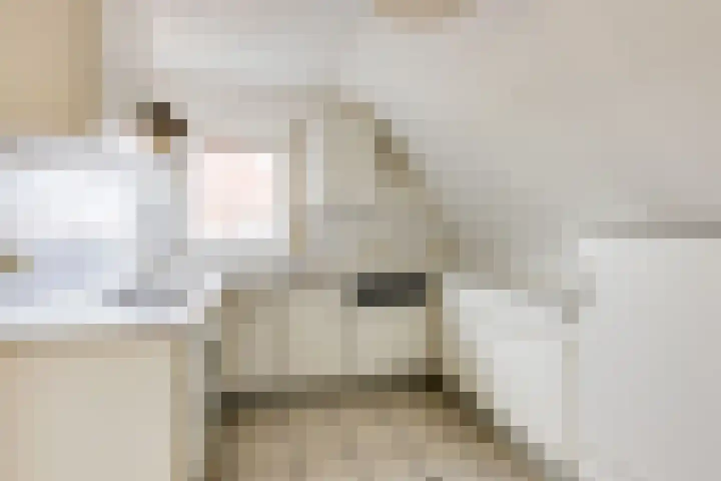 Schabosweg 29 Lattrop-Breklenkamp thumbnail 29