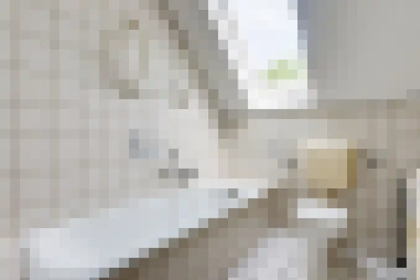 Schabosweg 29 Lattrop-Breklenkamp thumbnail 34