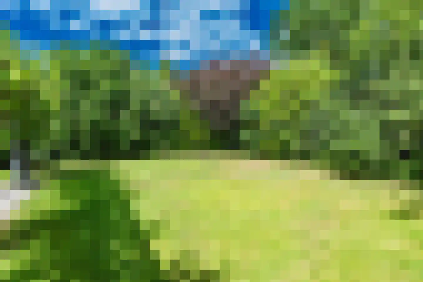 Schabosweg 29 Lattrop-Breklenkamp thumbnail 48