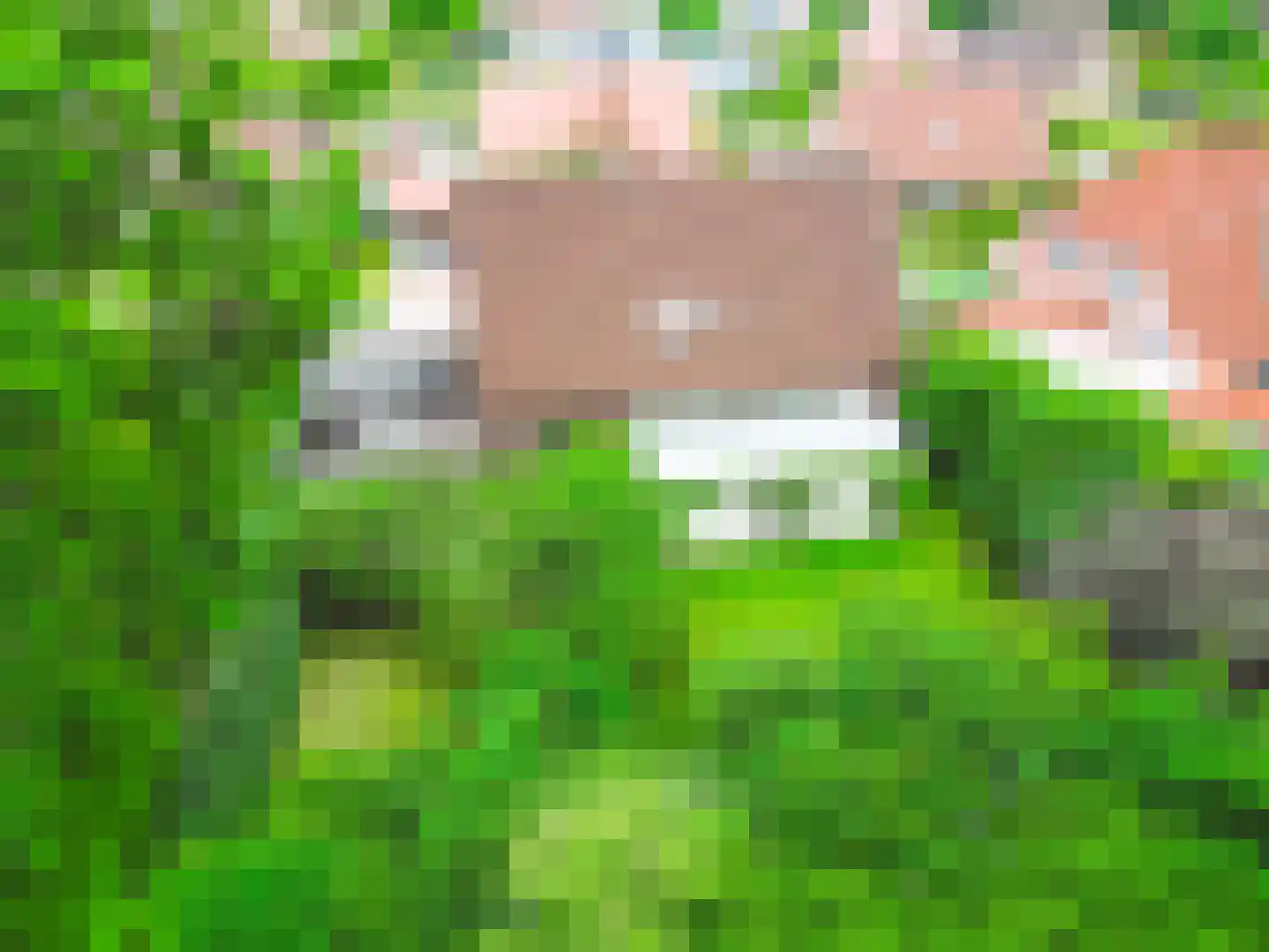 Schabosweg 29 Lattrop-Breklenkamp thumbnail 54