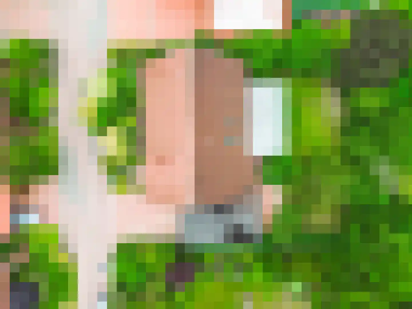 Schabosweg 29 Lattrop-Breklenkamp thumbnail 55
