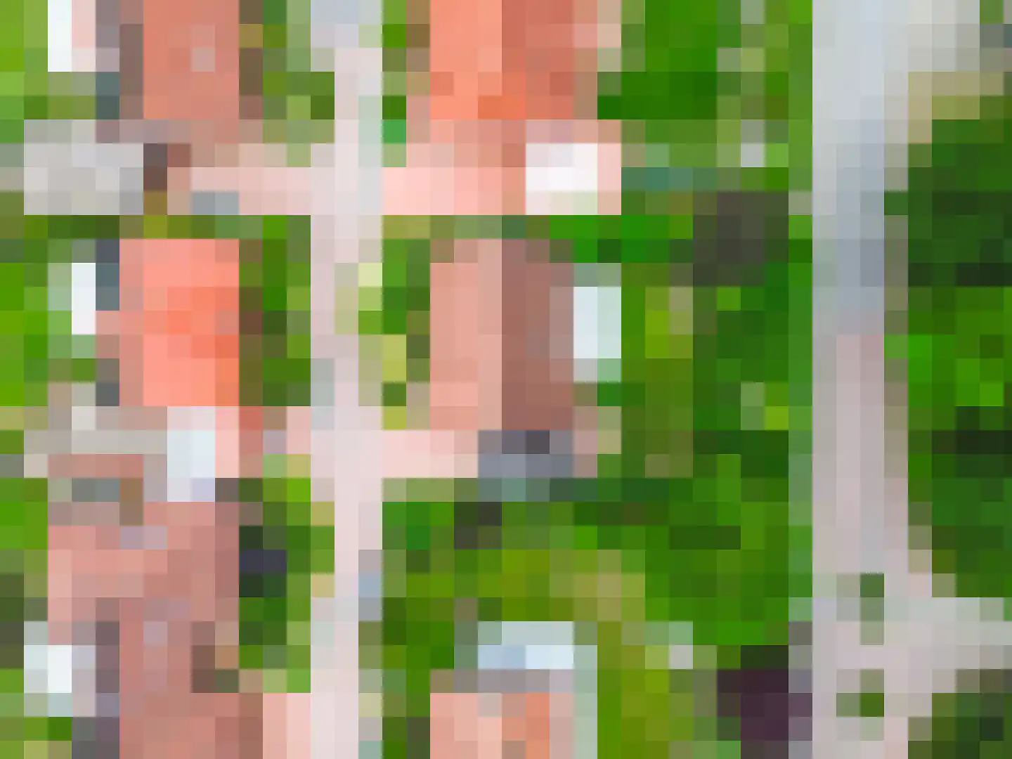 Schabosweg 29 Lattrop-Breklenkamp thumbnail 56