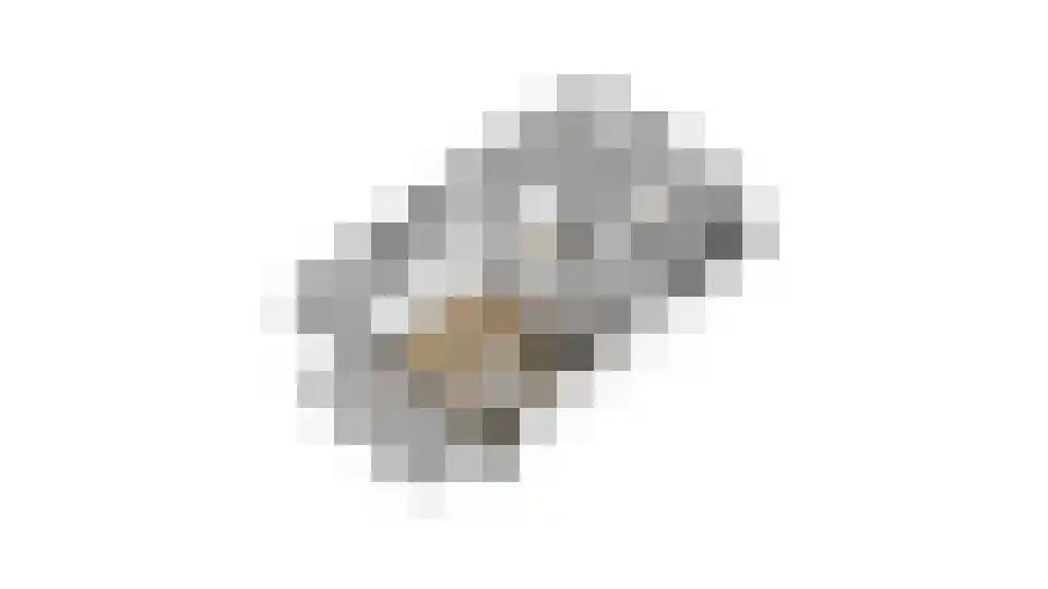 Schabosweg 29 Lattrop-Breklenkamp thumbnail 68