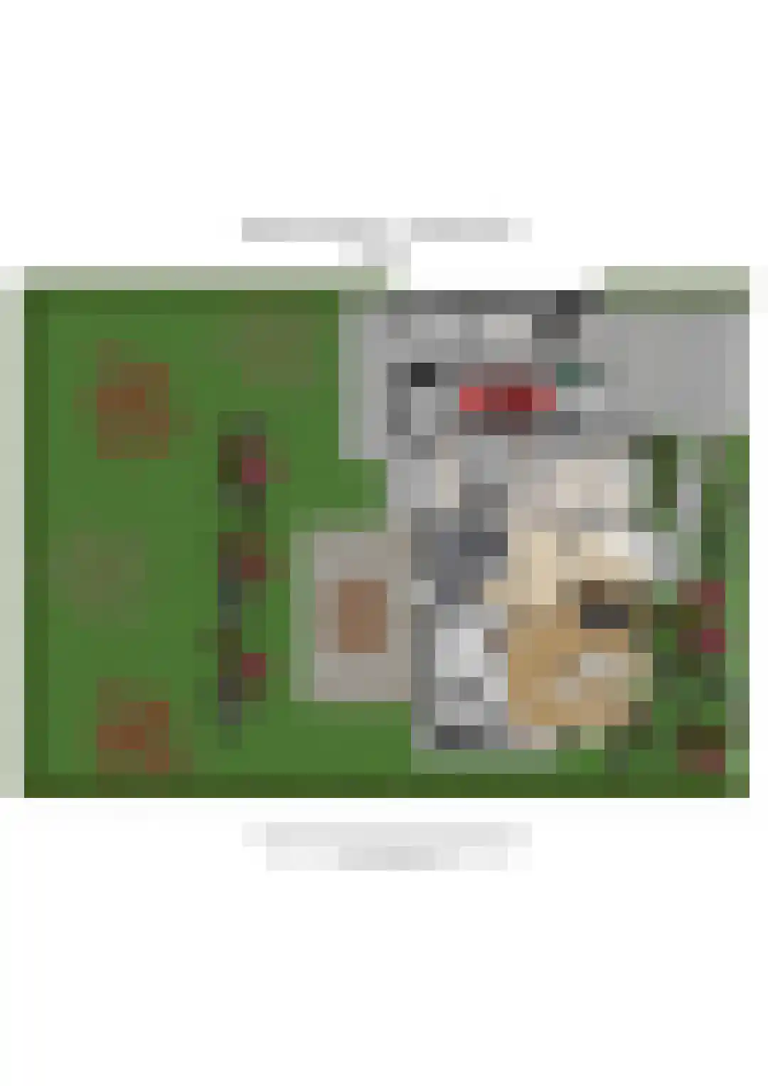 Schabosweg 29 Lattrop-Breklenkamp thumbnail 72