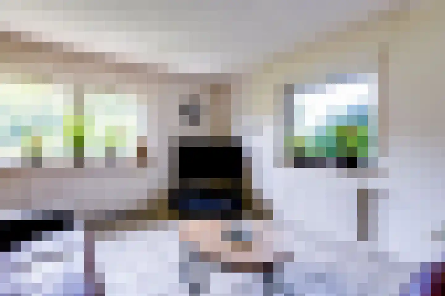 Schabosweg 29 Lattrop-Breklenkamp thumbnail 8
