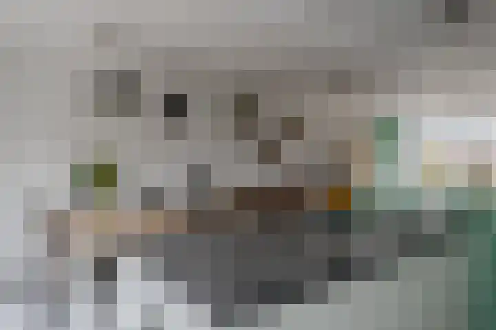Schacht 18 Beuningen Gld thumbnail 15