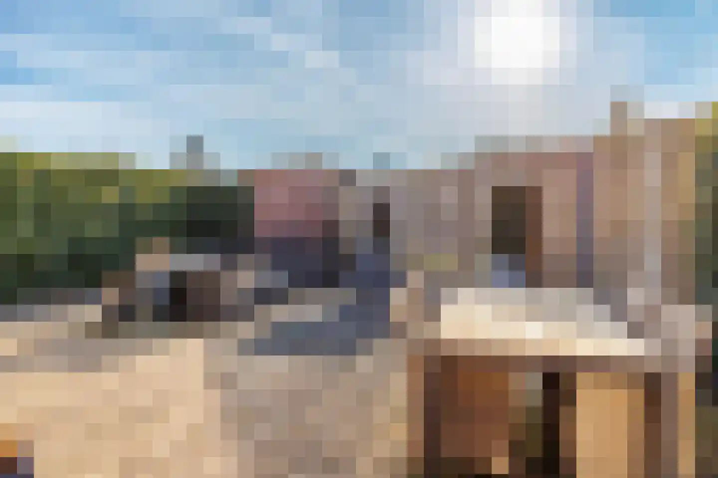 Schacht 29 Beuningen Gld thumbnail 34