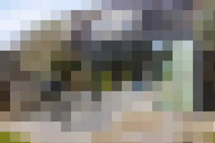 Schacht 41 Beuningen Gld thumbnail 18
