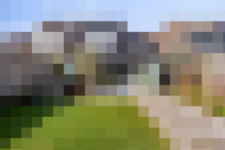 Schacht 41 Beuningen Gld thumbnail 46