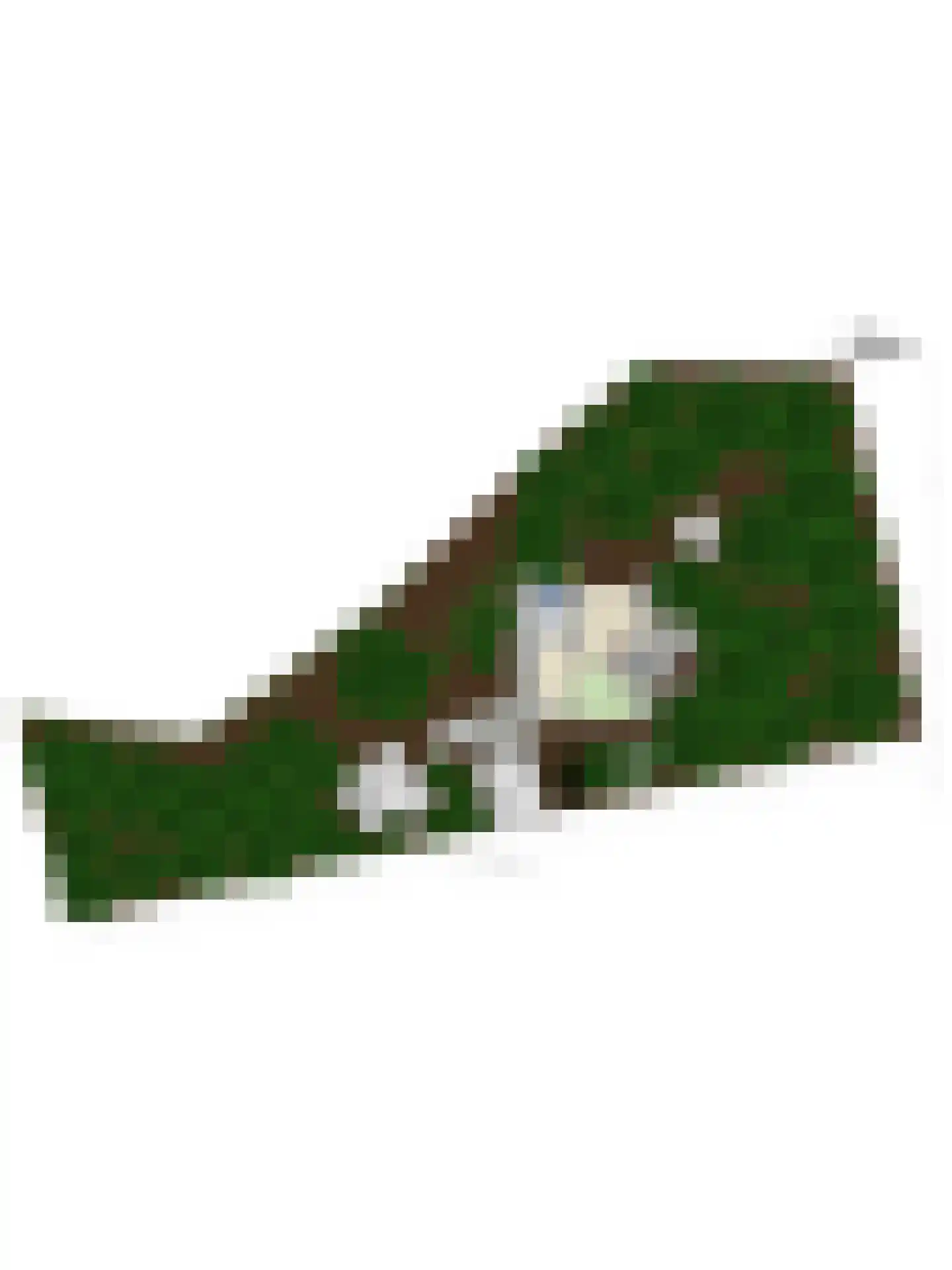 Schaddendijk 73 Enschede thumbnail 31