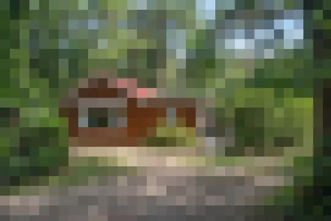 Schaddendijk 73 Enschede thumbnail 9