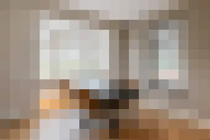Schaddenhof 3 Lemelerveld thumbnail 15