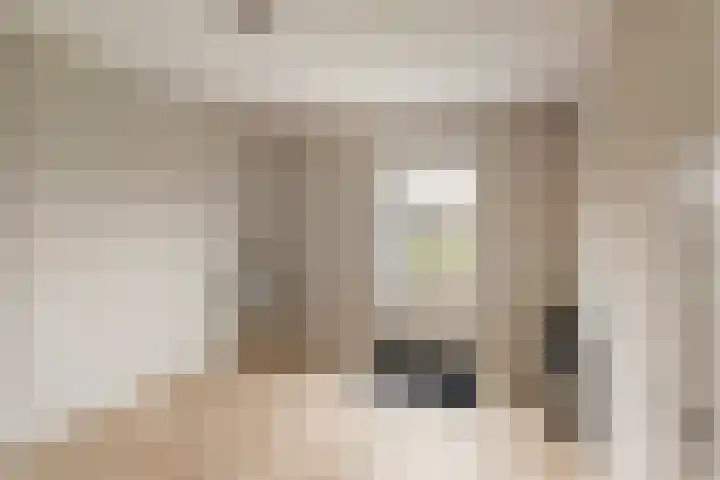 Schaddenhof 3 Lemelerveld thumbnail 17