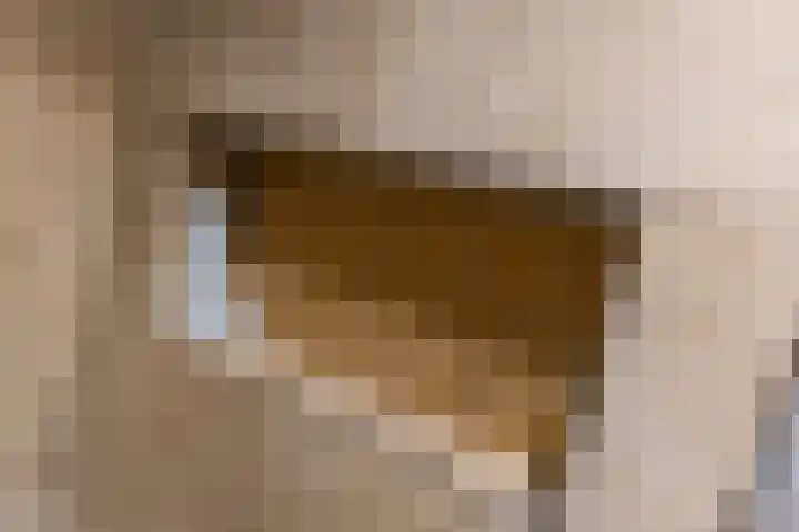 Schaddenhof 3 Lemelerveld thumbnail 29