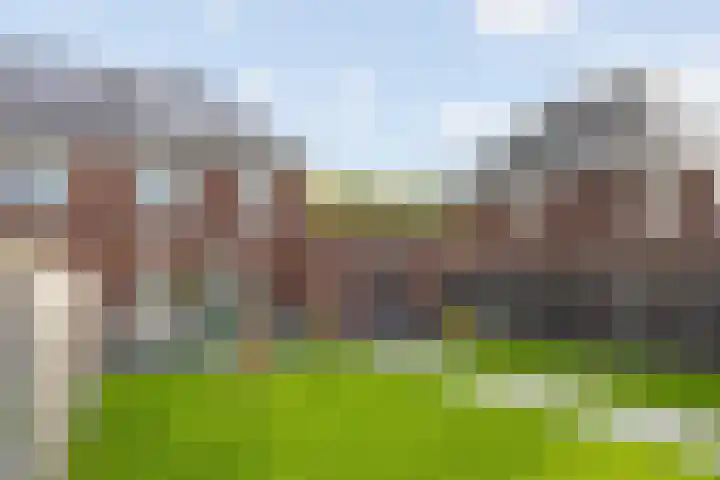 Schaddenhof 3 Lemelerveld thumbnail 33