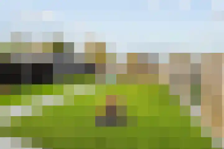 Schaddenhof 3 Lemelerveld thumbnail 34