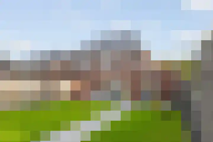 Schaddenhof 3 Lemelerveld thumbnail 35