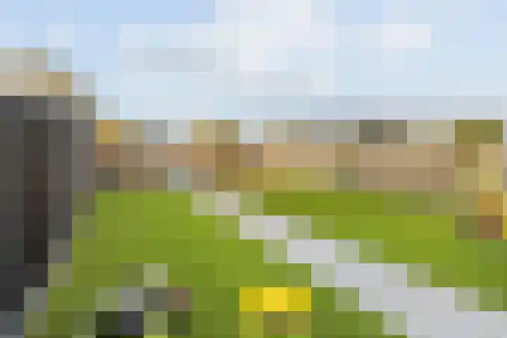 Schaddenhof 3 Lemelerveld thumbnail 37