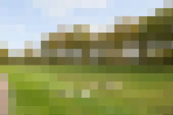 Schaddenhof 3 Lemelerveld thumbnail 5