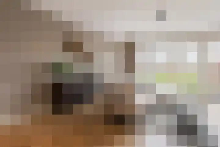 Schaddenhof 3 Lemelerveld thumbnail 6