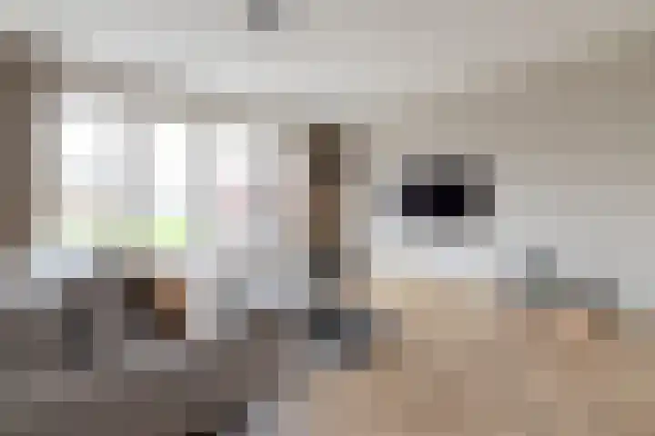 Schaddenhof 3 Lemelerveld thumbnail 7