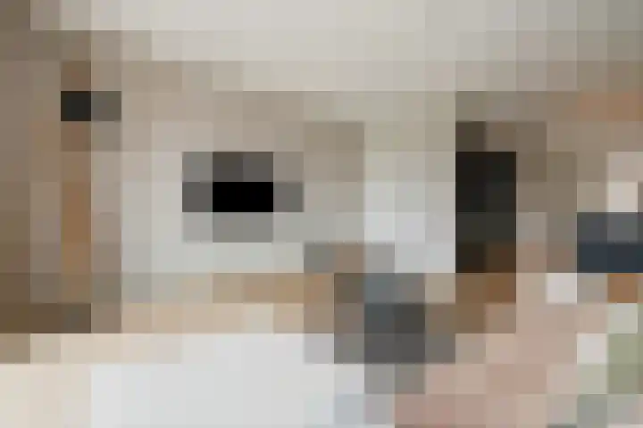 Schaddenhof 3 Lemelerveld thumbnail 8