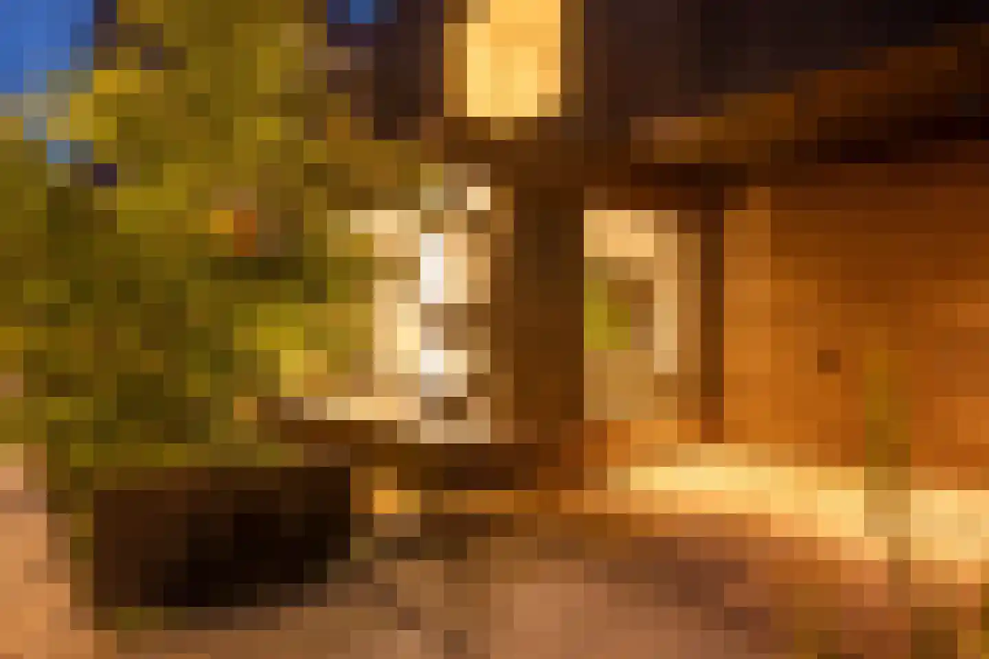 Schaddenspoor 9 Enschede thumbnail 56