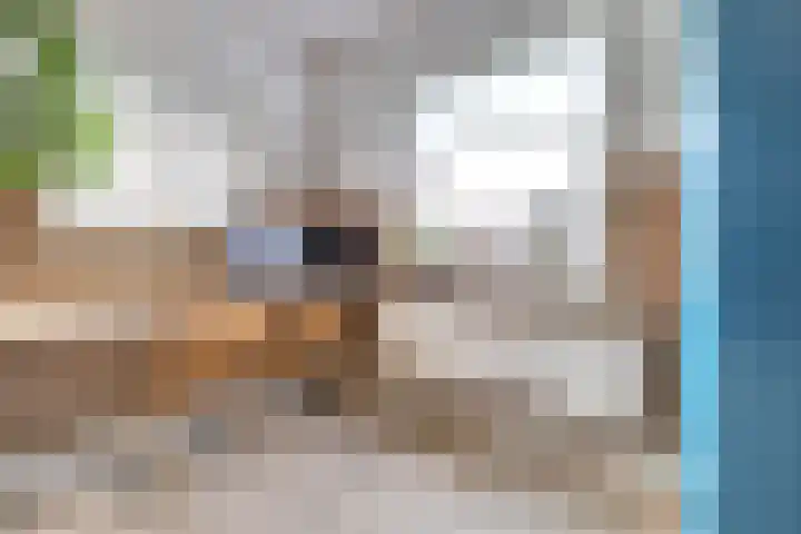 Schadewijk 12 Eersel thumbnail 11