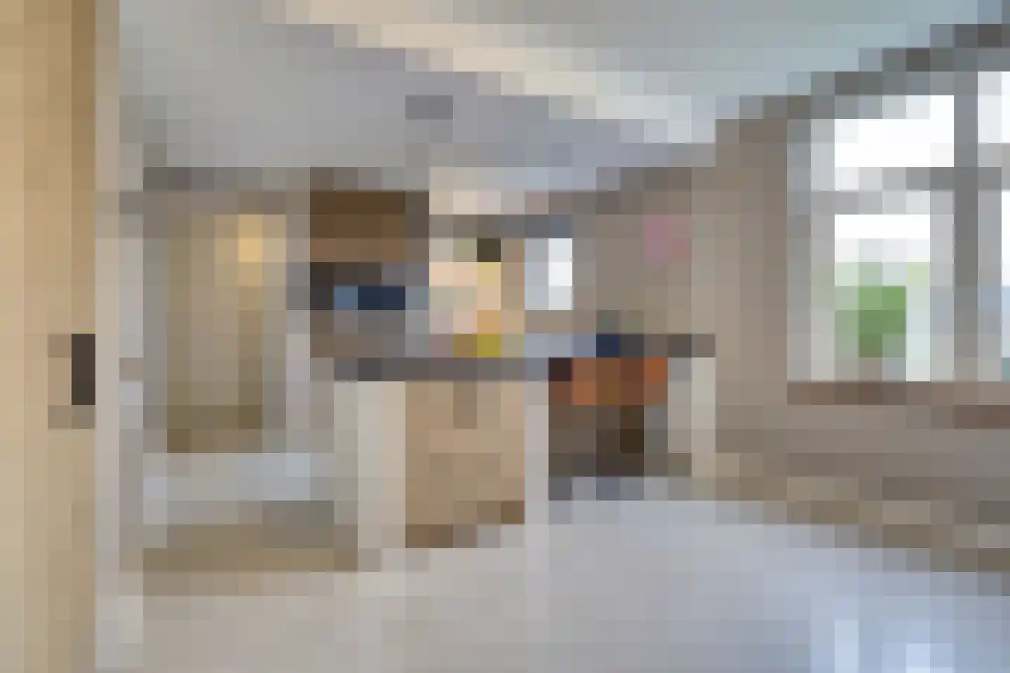 Schadewijk 12 Eersel thumbnail 14