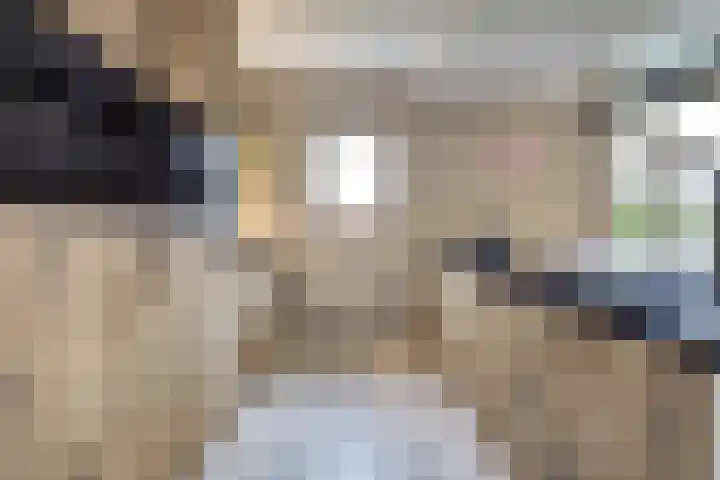 Schadewijk 12 Eersel thumbnail 17