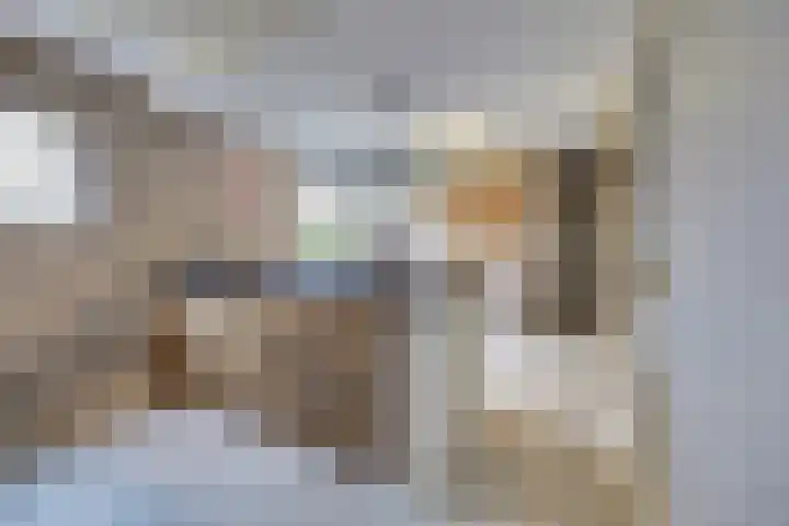 Schadewijk 12 Eersel thumbnail 19