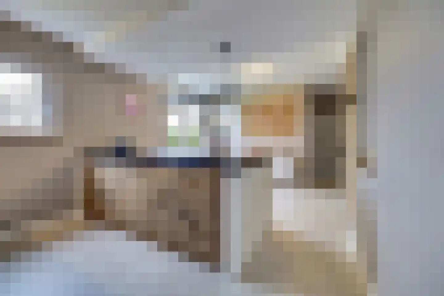 Schadewijk 12 Eersel thumbnail 21