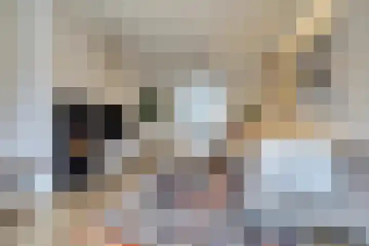 Schadewijk 12 Eersel thumbnail 21