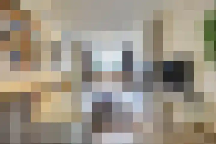 Schadewijk 12 Eersel thumbnail 23