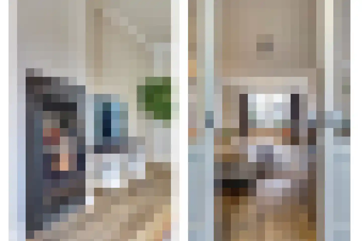 Schadewijk 12 Eersel thumbnail 26
