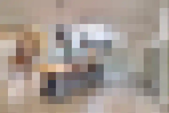 Schadewijk 12 Eersel thumbnail 27