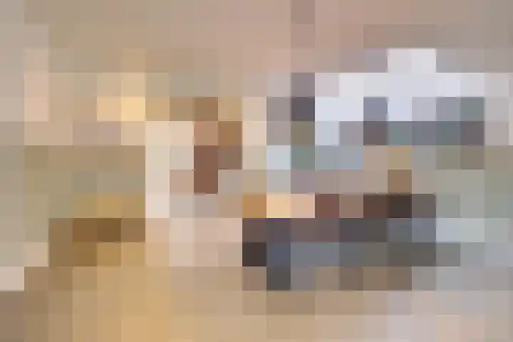 Schadewijk 12 Eersel thumbnail 28