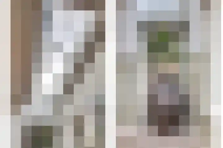 Schadewijk 12 Eersel thumbnail 30