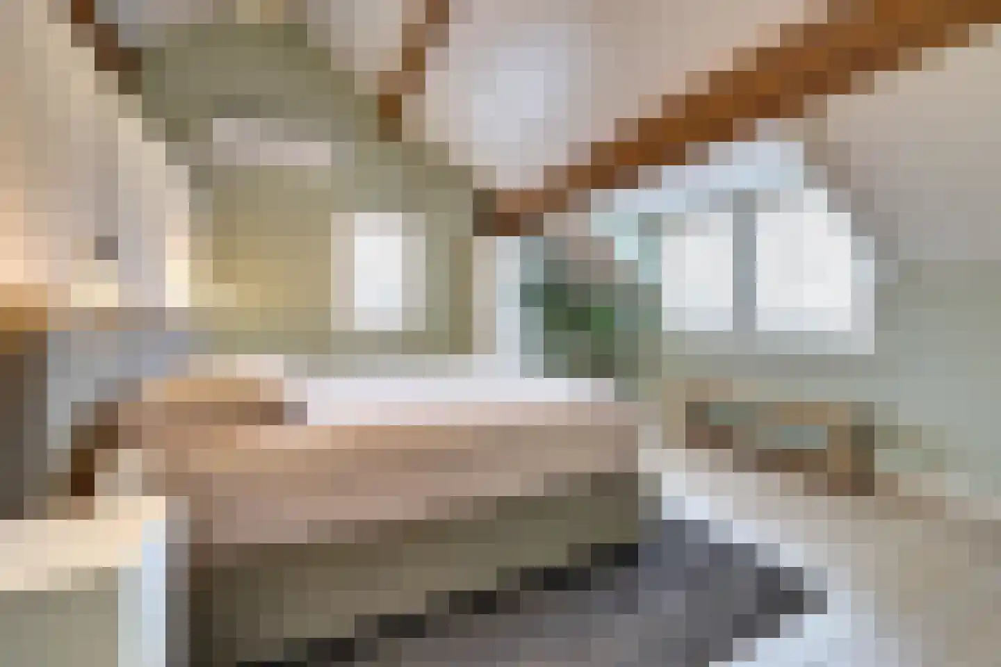 Schadewijk 12 Eersel thumbnail 36