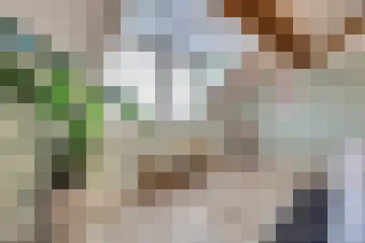Schadewijk 12 Eersel thumbnail 38