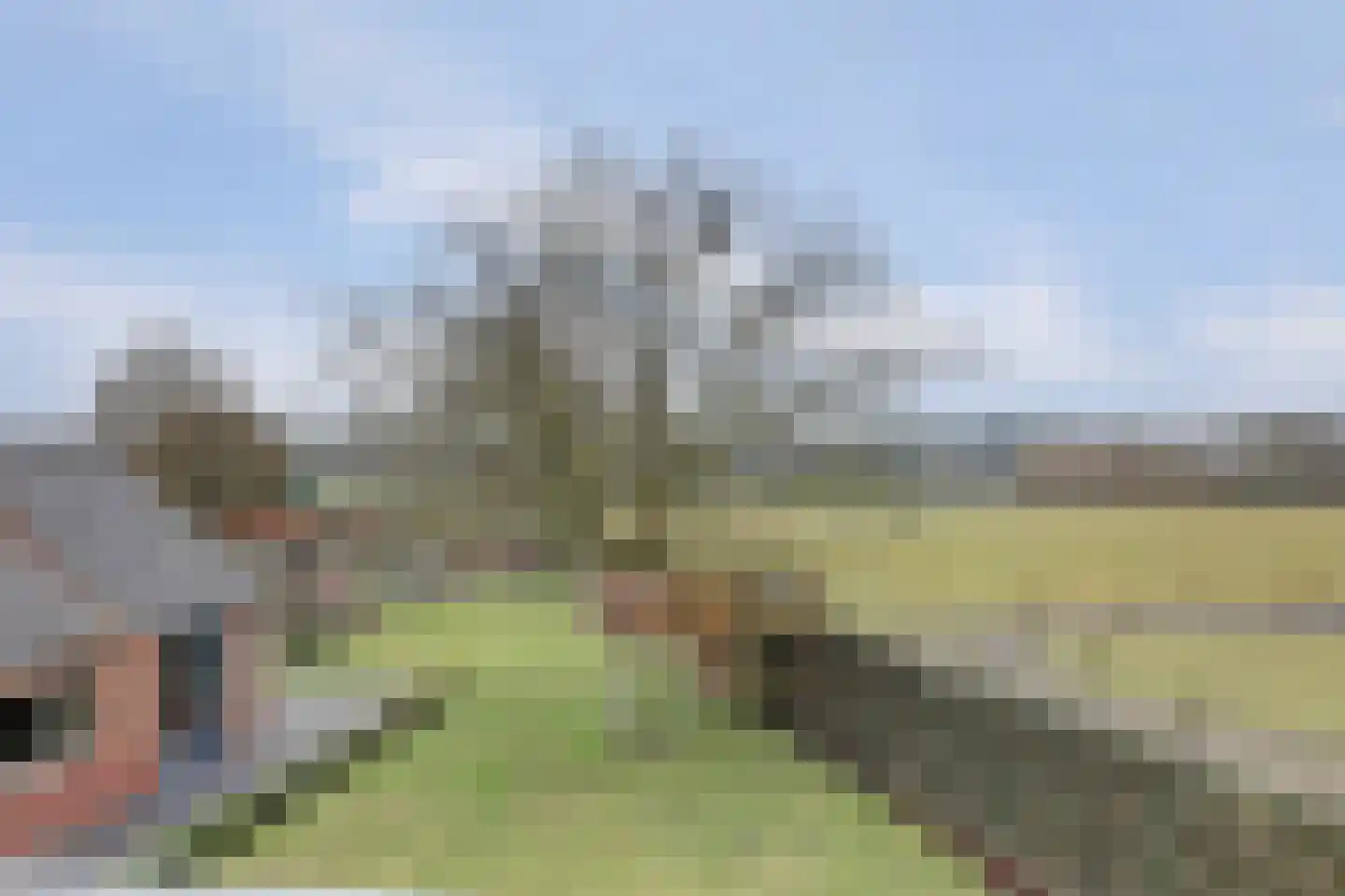 Schadewijk 12 Eersel thumbnail 38