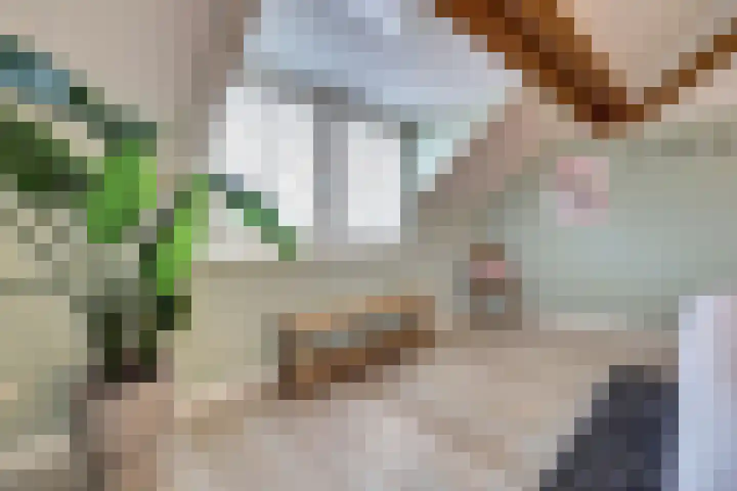 Schadewijk 12 Eersel thumbnail 40