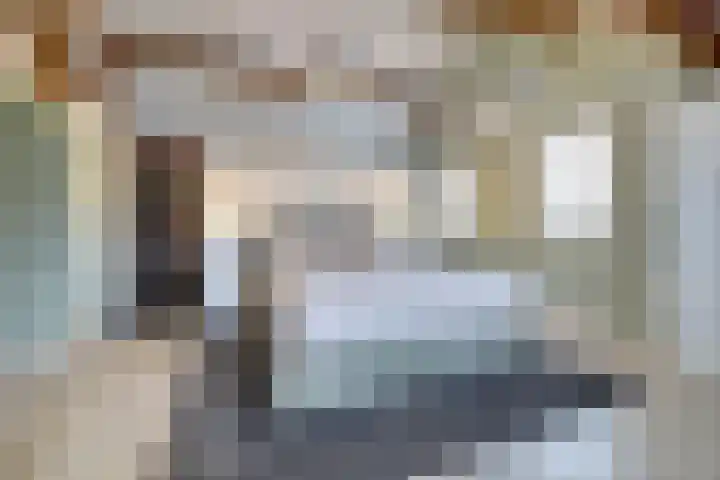 Schadewijk 12 Eersel thumbnail 40